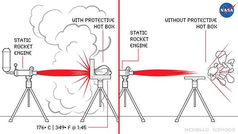 Illustration for article titled NASA scientists explain how to cook turkey in four crazy recipes